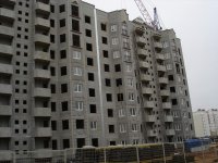 DSC06426-1.jpg