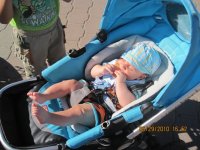 IMG_1806.jpg
