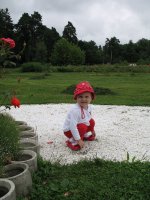 Img_4600.jpg