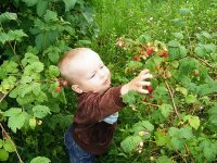 2010_07040175.JPG
