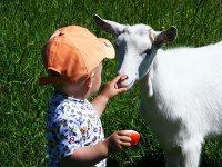 2010_06290115.JPG