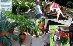 2010-07-22.jpg