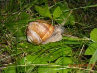 Изображение 1806.jpg