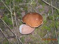 Изображение 1807.jpg