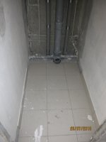 IMG_0906.jpg