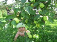 Дача, 05-27. 07.10 239-1.jpg