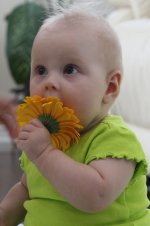 IMG_6492.JPG_cropped.jpg