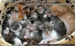 Послеобеденный сон.jpg