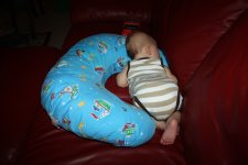 IMG_9667a.jpg