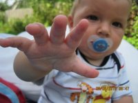 IMG_2522.jpg