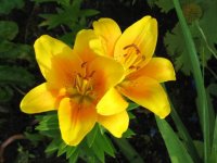 IMG_5877.JPG