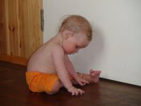 DSC00512.jpg
