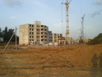 SUC56058.JPG
