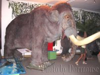 Giganty_05.JPG