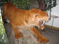 Giganty_04.JPG