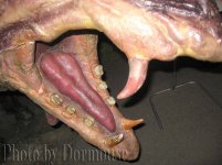 Giganty_02.JPG