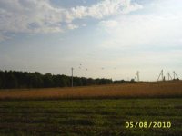 PIC_0016.JPG