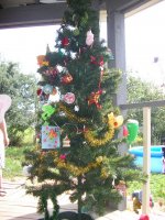 P8180064_новый размер.jpg