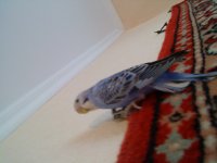 DSC01011.JPG