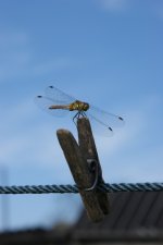 DSC04848.jpg