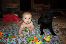 IMG_9915a.jpg