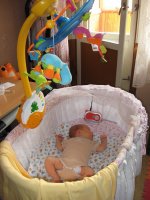 IMG_85231.jpg