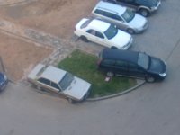 27082010051.jpg