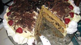 Копия IMG_3698.jpg
