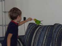 P1050736_новый размер.JPG