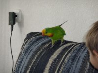 P1050735_новый размер.JPG