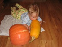 25-08-2010 010.JPG