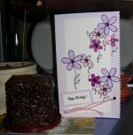 DSCN3390.jpg