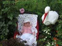 IMG_0585.JPG