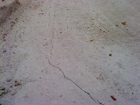 DSC00827_resize.JPG