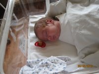 IMG_2319.JPG