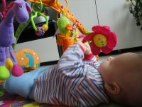 DSC07113.jpg1.jpg