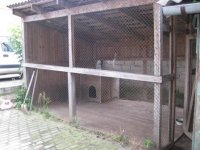 IMG_3784r.jpg