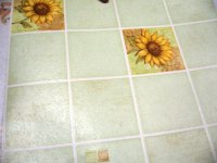 Изображение 056.jpg