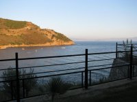 IMG_5186.jpg