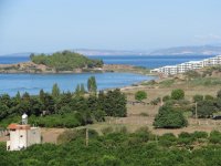 IMG_5319.jpg
