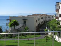 IMG_5326.jpg
