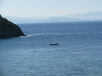 IMG_5327.jpg