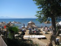 IMG_5346.jpg