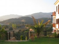 IMG_5869.jpg