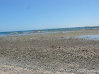 20100906_8282.JPG