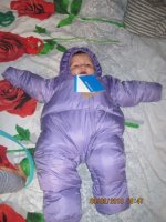 IMG_2803.jpg