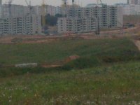 SDC11854.JPG