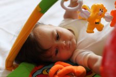 IMG_3478.JPG