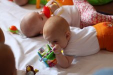 IMG_3504.JPG