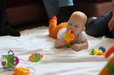 IMG_3519.JPG